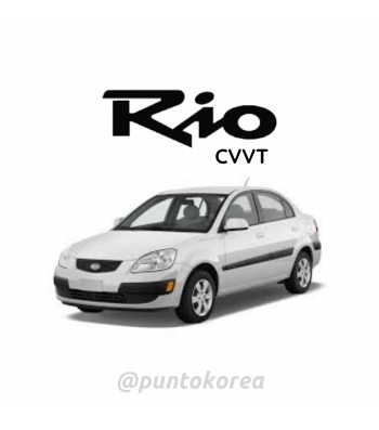 RIO CVVT